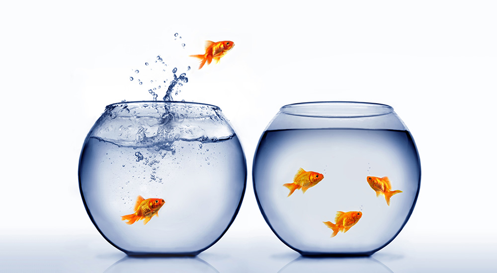 Overcoming Sustainability Challenges By Establishing Cross-Industry Collaboration