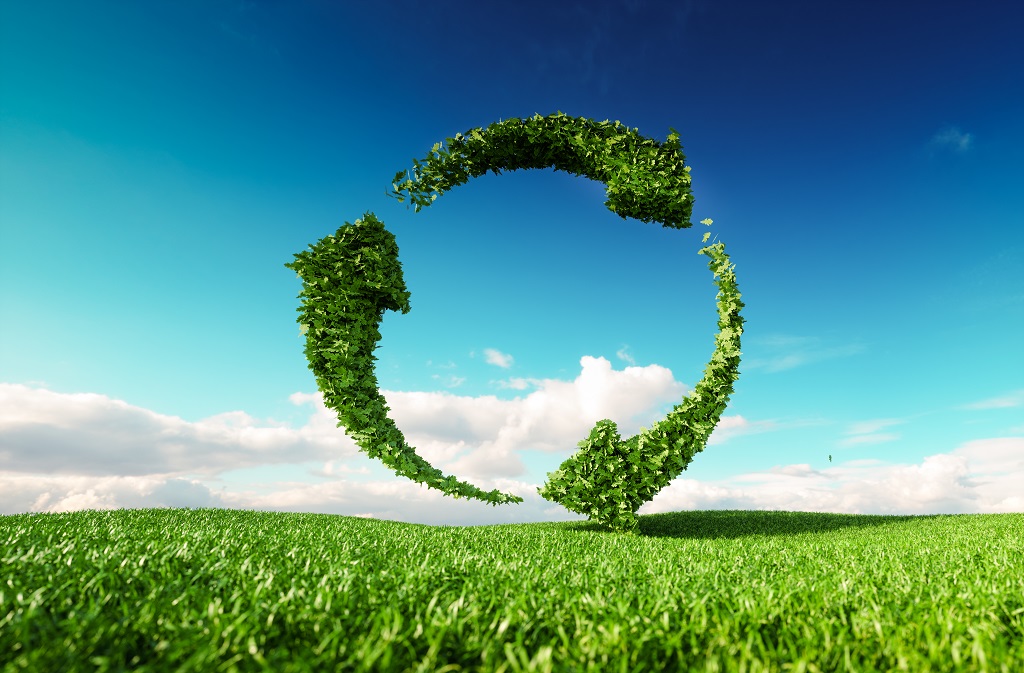 Embedding Sustainability into Daily Business