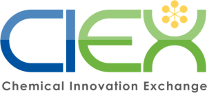 Page big logo