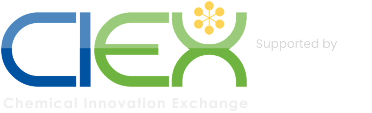 Page big logo
